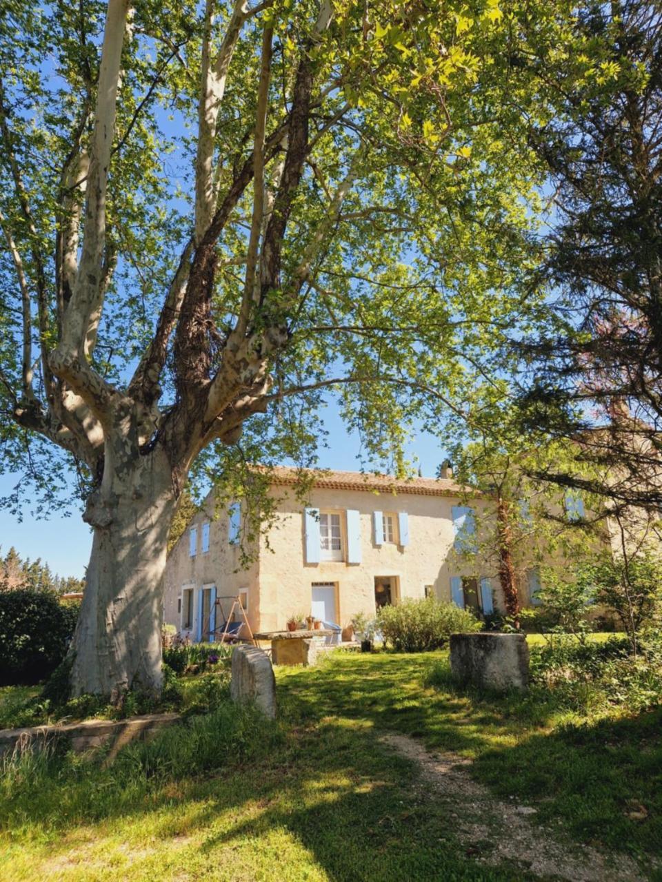 Ancien Mas Du Moulin Bed & Breakfast Eygalieres  Luaran gambar