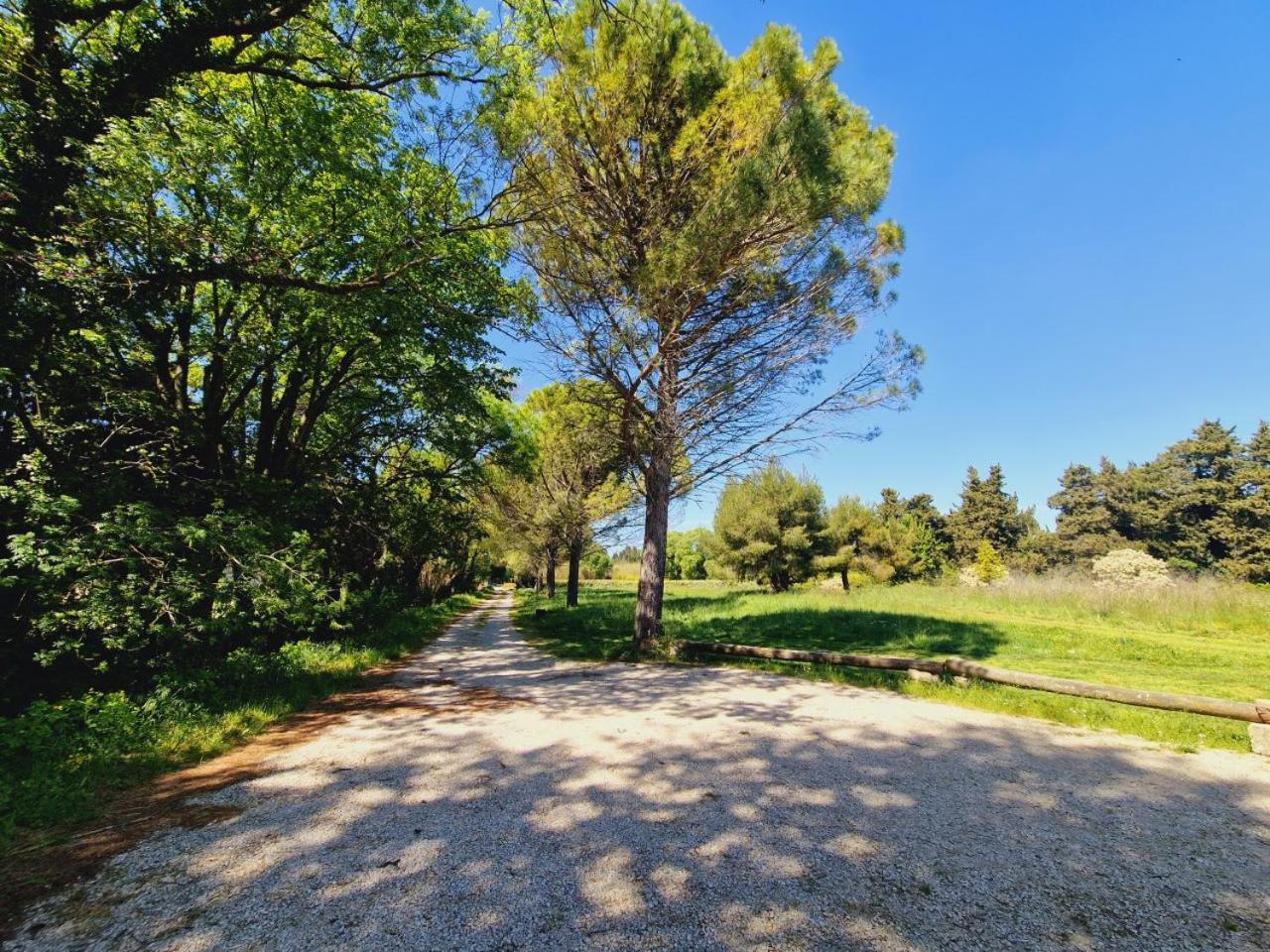 Ancien Mas Du Moulin Bed & Breakfast Eygalieres  Luaran gambar